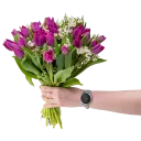 Kytice fialových  tulipánů